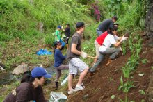 CTAHR students planting Manoa Stream